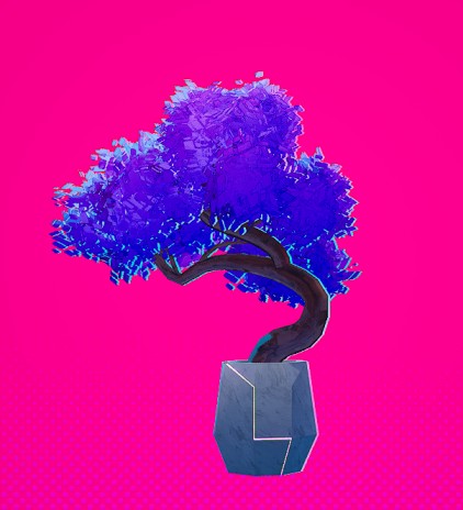 Bonsai Tree
