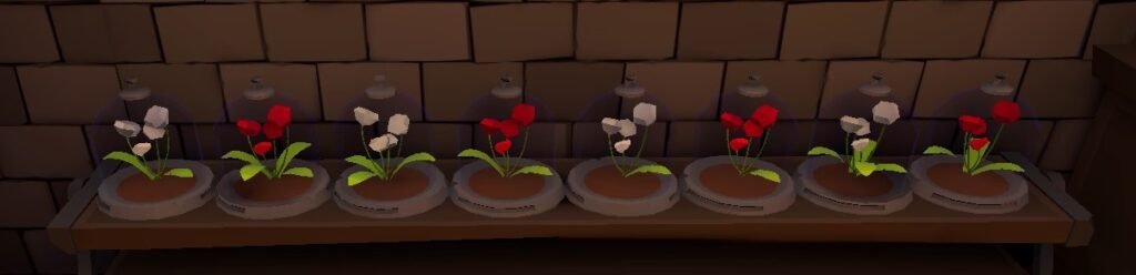 Flowers Puzzle