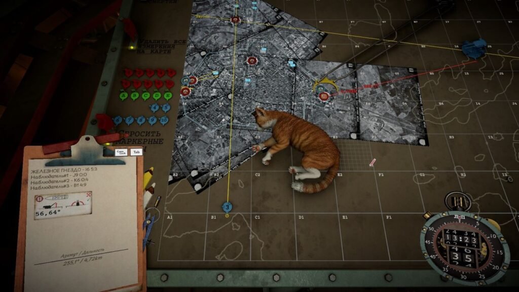 How to move the cat?