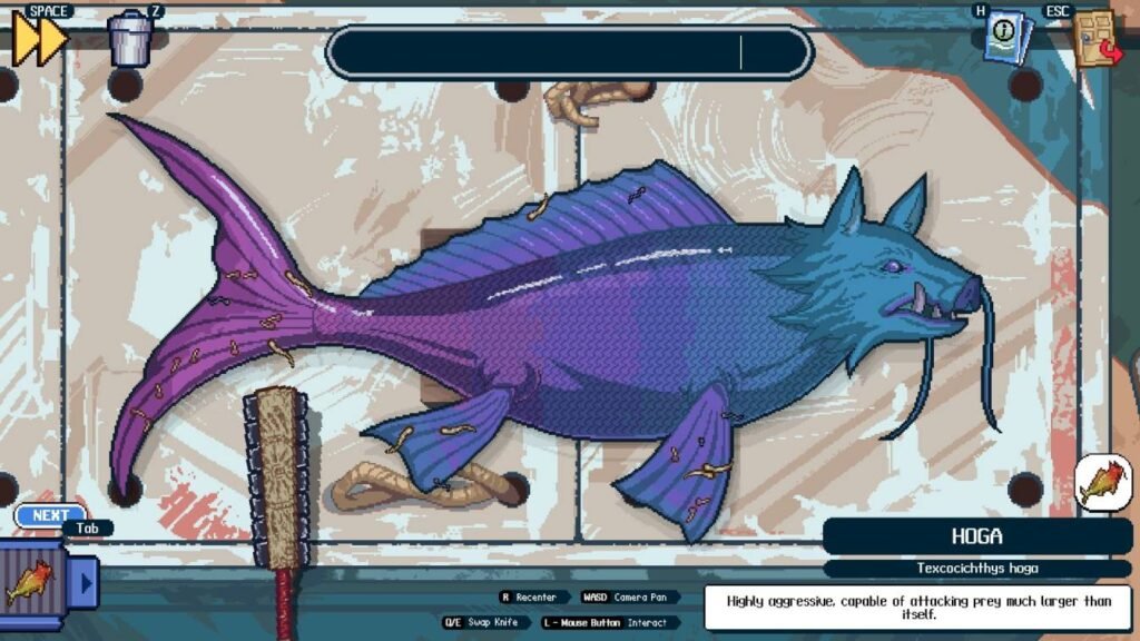 Texcocichthys Hoga