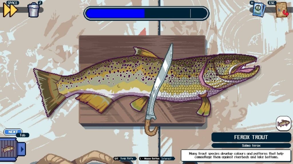 Brown Trout