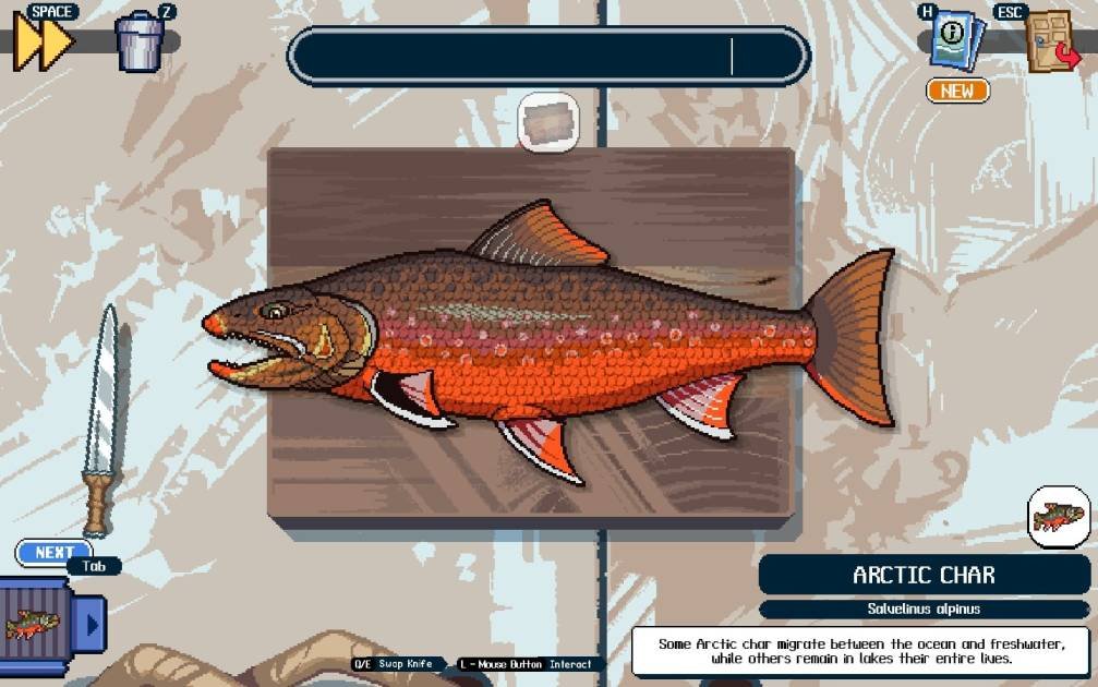 Arctic Char