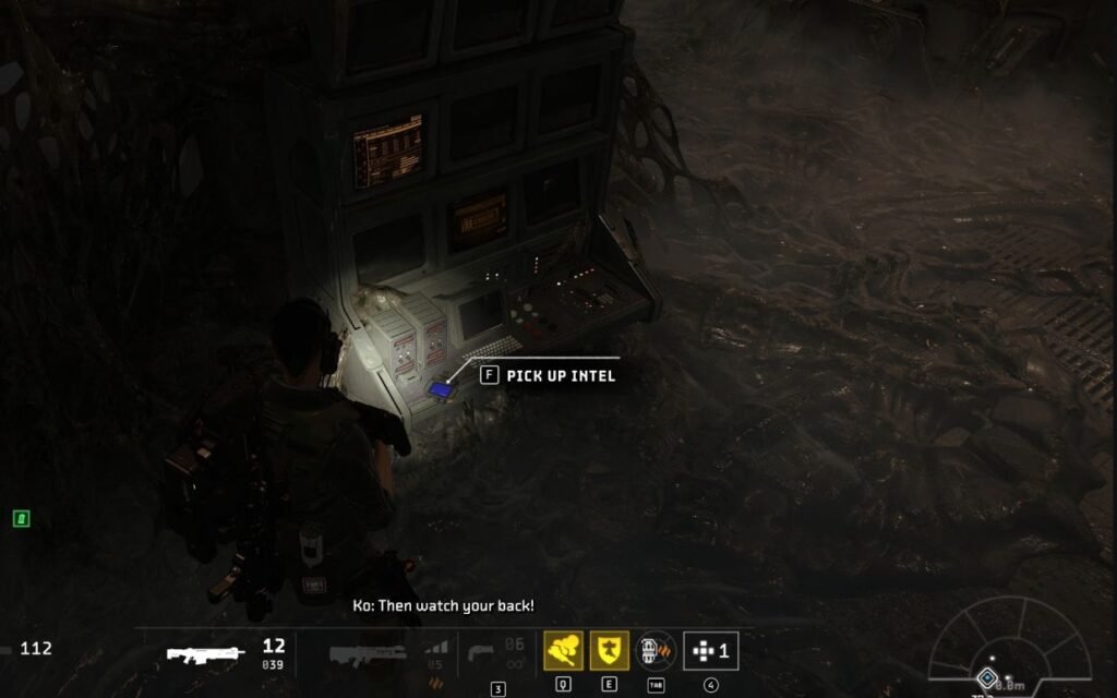 Dreaming