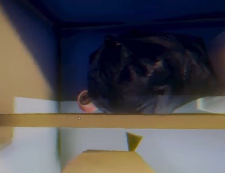 Inside the fridge