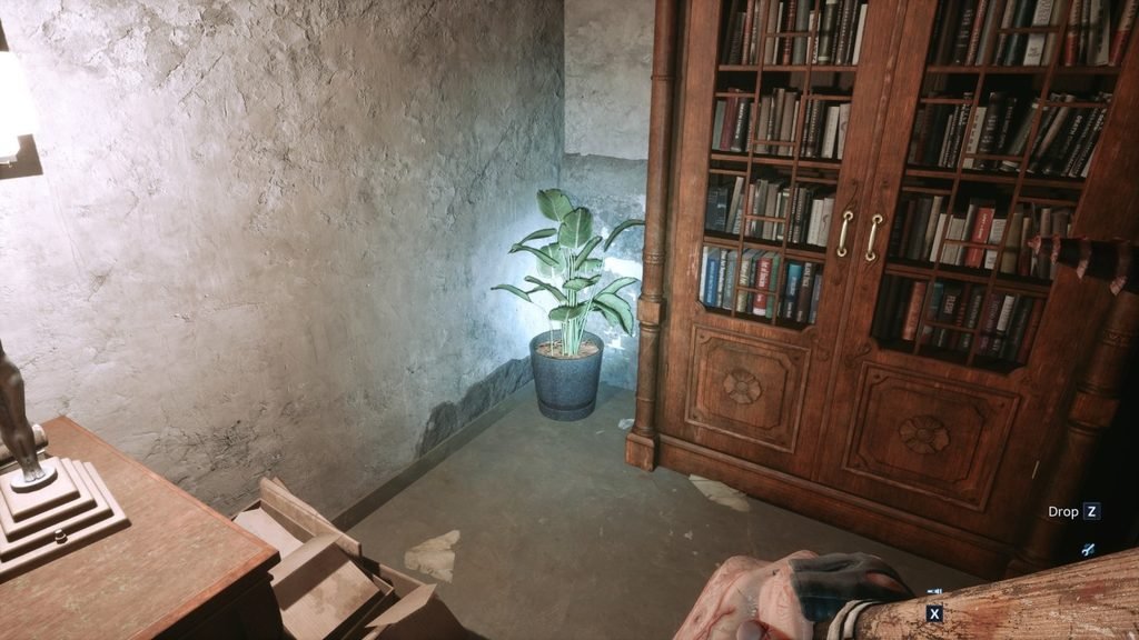 Save Token 10 – Plant After the Second Bruno Fight