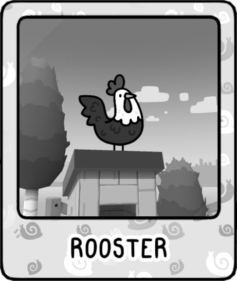 Rooster