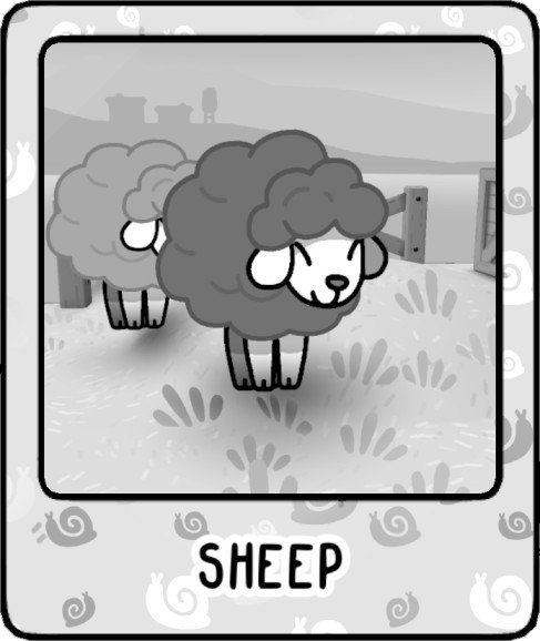 Sheep