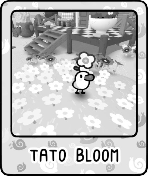 Tato Bloom