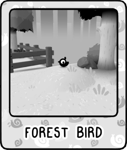 Forest Bird