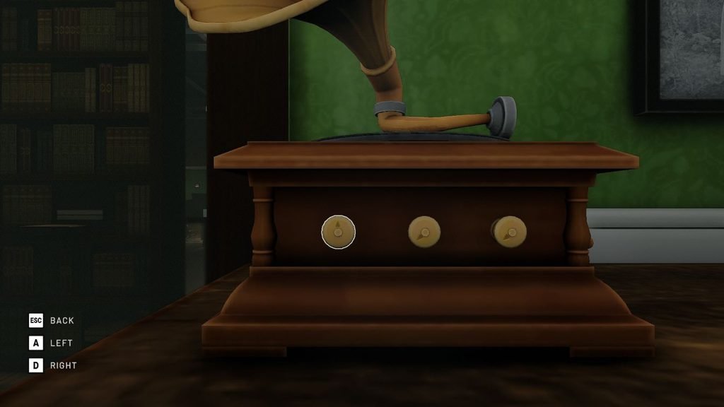 Place the vinyl record